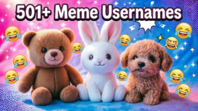 501+ Meme Usernames