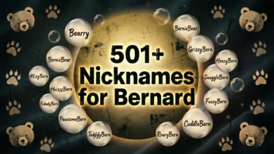 501+ Nicknames for Bernard