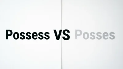 Possess vs Posses