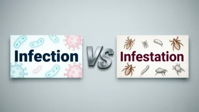 Infection vs Infestation